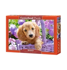 9f6e8b3b7ee61e6508157c02f7e6a37f