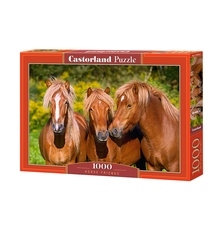 9f6e8b3b7ee61e6508157c02f7e6a37f